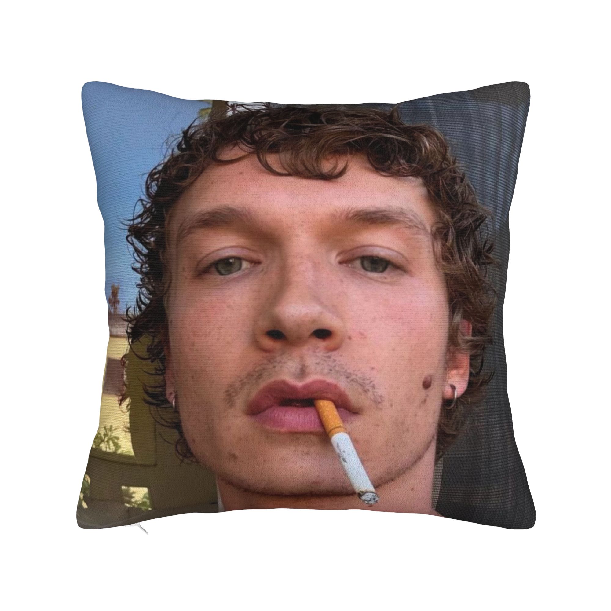 ปลอกหมอนอิงตกแต่ง Hudson Willi - Pillow Cover Sublimation บทวิจารณ์และราคา